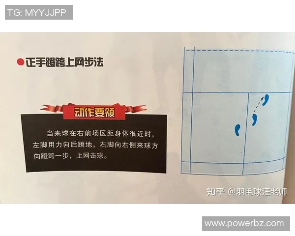 南京羽毛球队的训练节奏与战术解析深度探讨